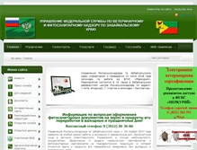 Tablet Screenshot of fsvps.chita.ru